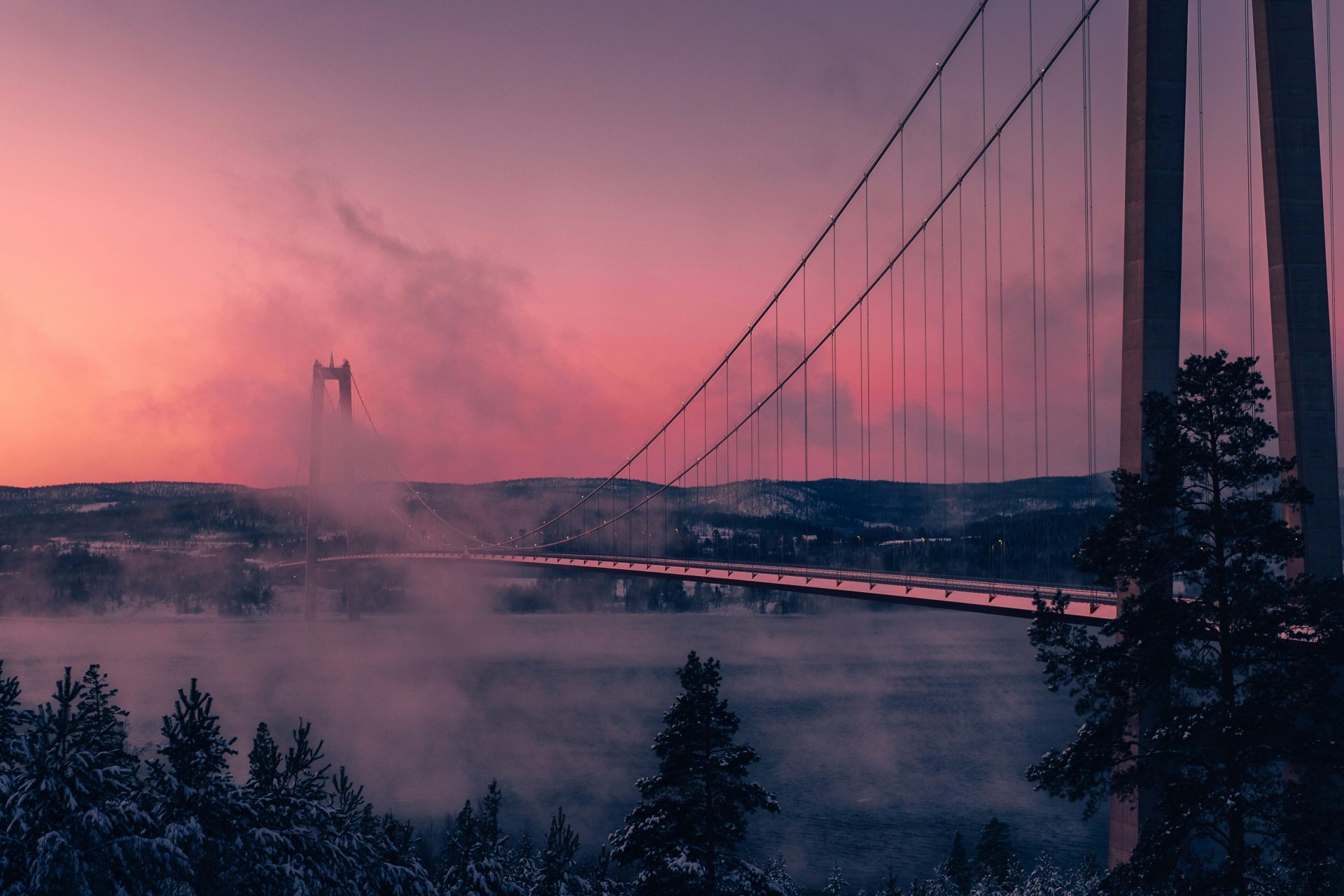 suspension bridge in pink winter fog